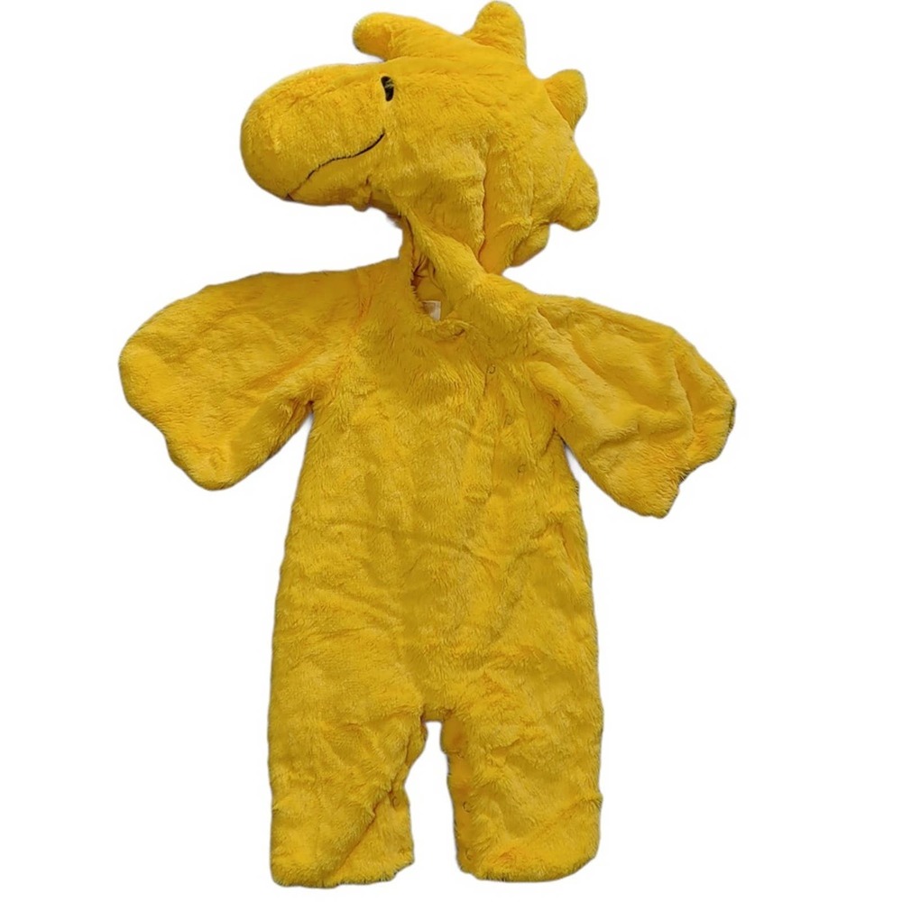 Pottery Barn Kids Baby Woodstock Costume 6-12 M